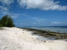 IMG_5526.JPG